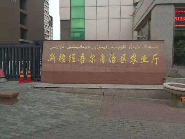 7月新疆超聲波棉花田田間調查