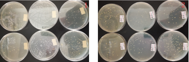 “超聲波處理對稻谷表面微生物的影響”發表論文啦！！