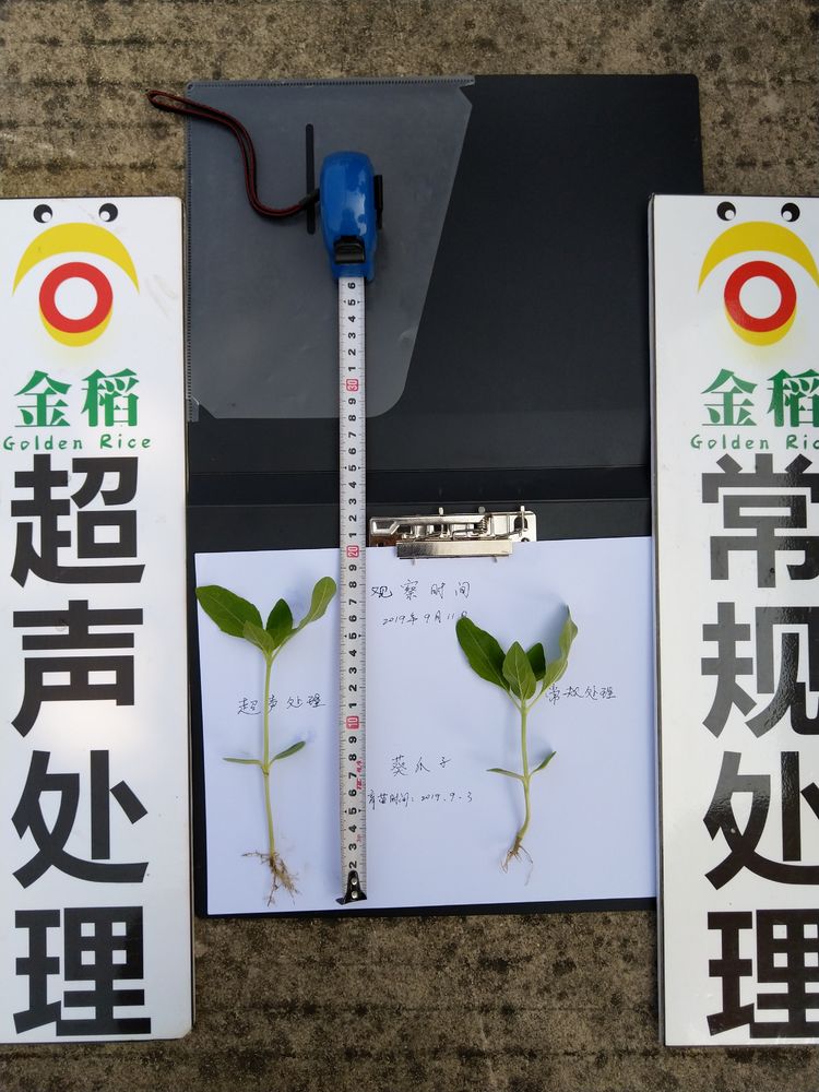 金稻農業大田田間調查