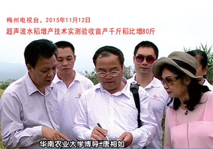 2015年11月11日現場驗收